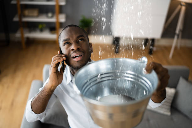 Best Flood damage cleanup  in Farley, IA