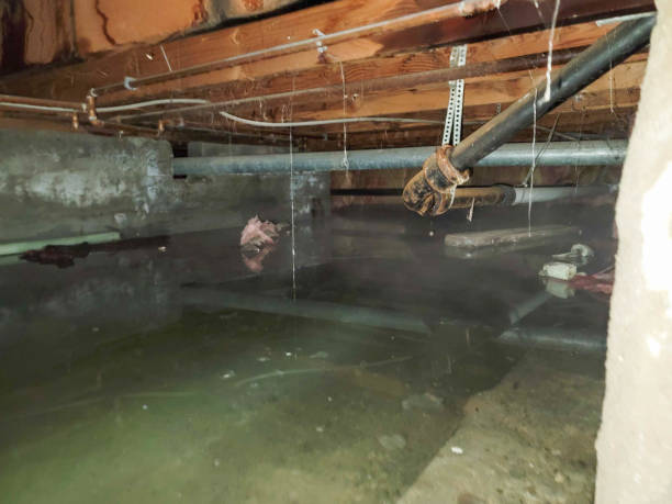 Best Water damage restoration services  in Farley, IA