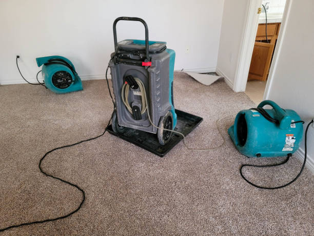 Best Residential water damage restoration  in Farley, IA