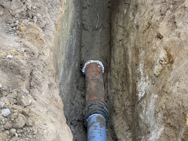 Best Flood restoration services  in Farley, IA