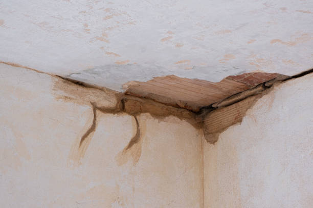 Best Commercial water damage restoration  in Farley, IA