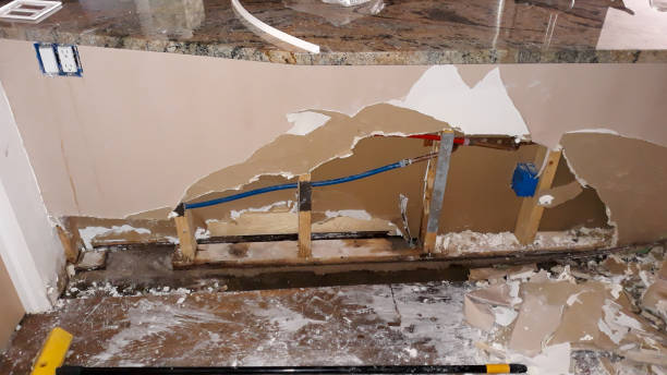 Best Residential water damage restoration  in Farley, IA