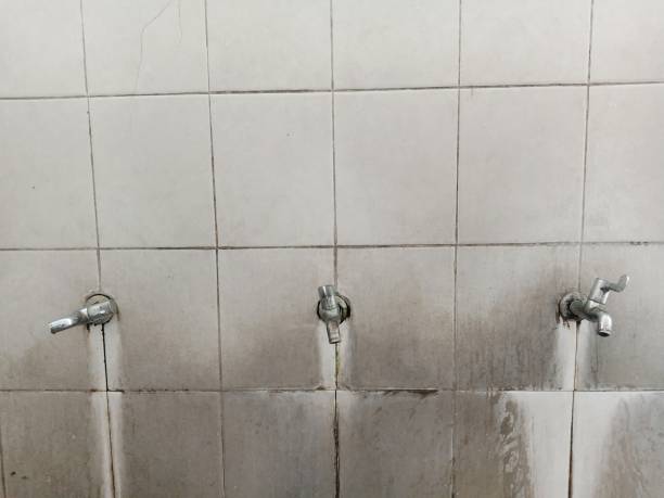 Best 24/7 water damage repair  in Farley, IA