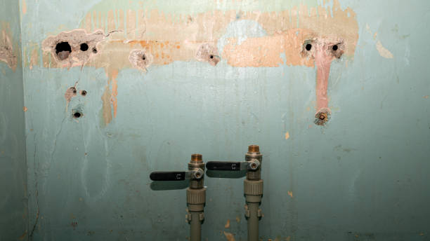 Best Water damage contractors near me  in Farley, IA