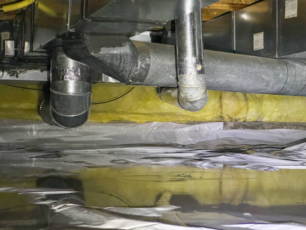 Best Flooded house restoration  in Farley, IA