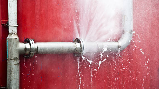 Best Local water damage restoration  in Farley, IA