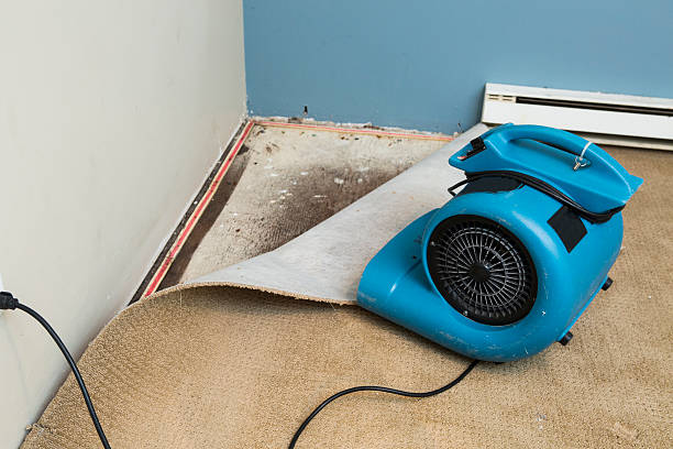 Best Water damage contractors near me  in Farley, IA